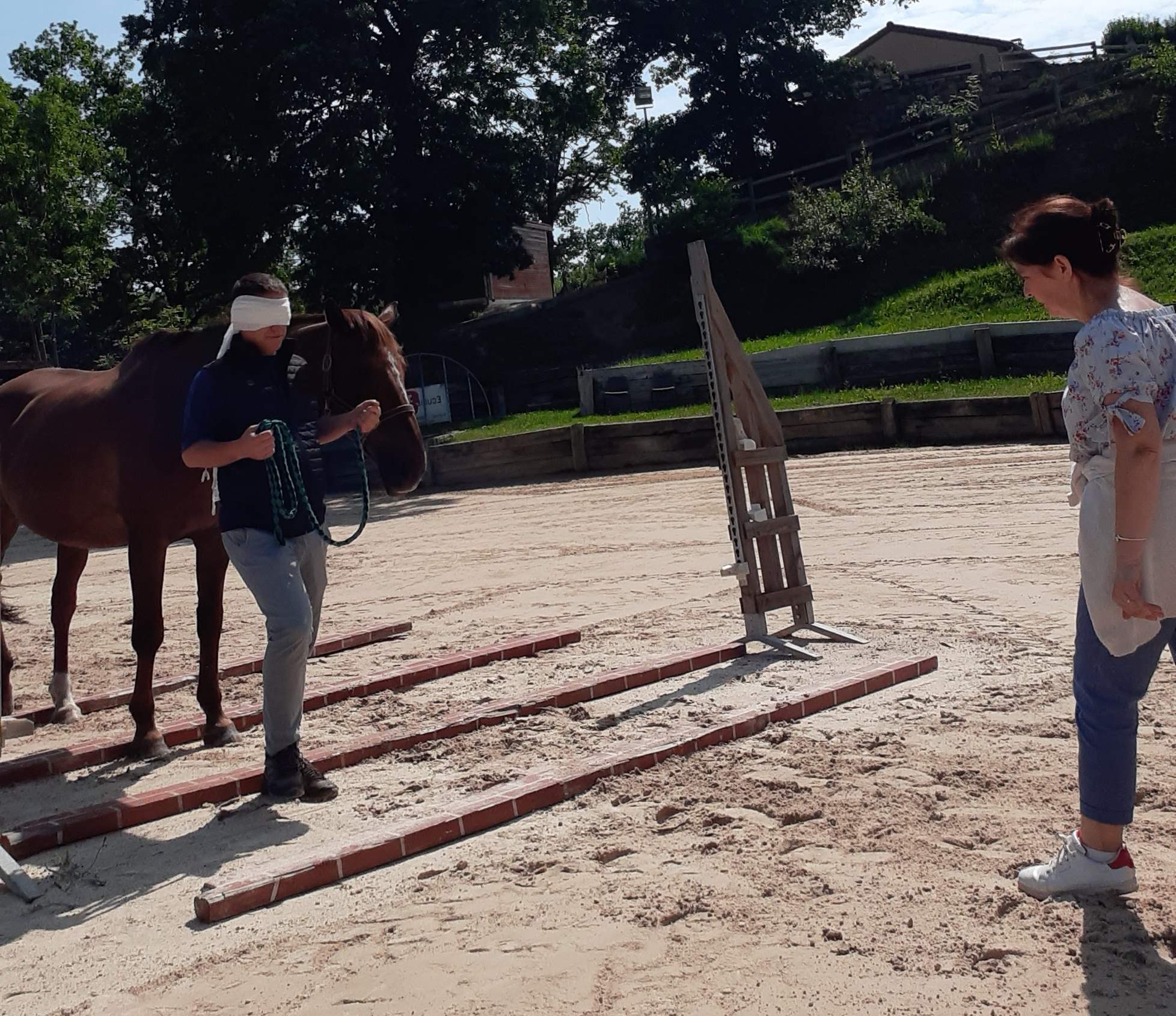 Linkedin et le cheval