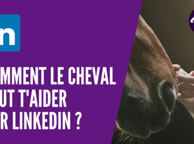 Comment le cheval peut t'aider sur linkedin