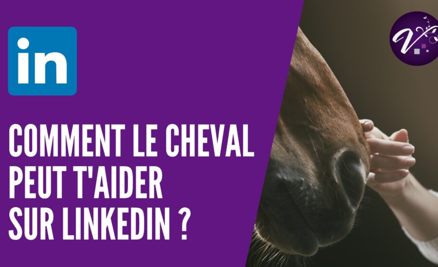 Comment le cheval peut t'aider sur linkedin